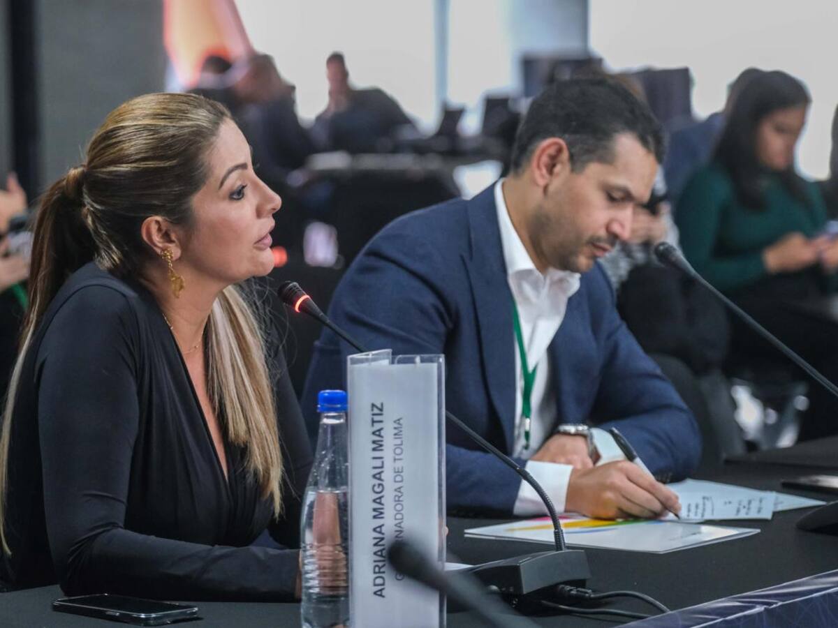 Gobernadora del Tolima mostró su preocupación por el deterioro del orden público