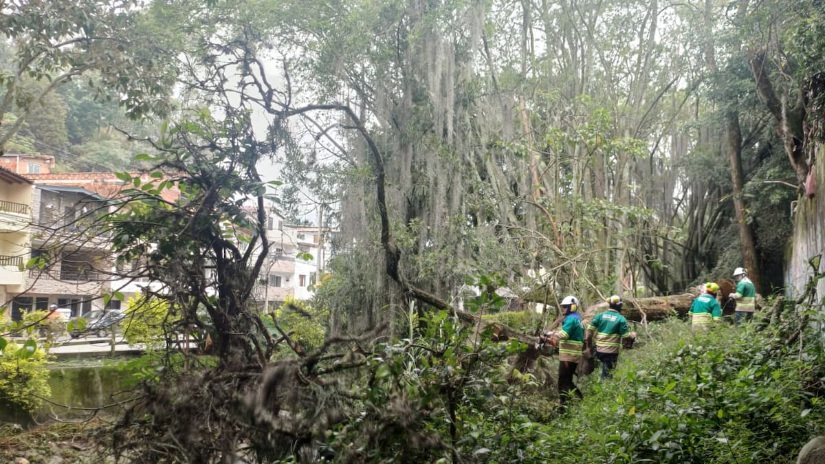 Operación “Voluminosos Cero” busca retirar más de 130 toneladas de residuos en tres municipios