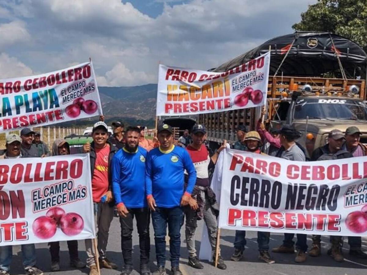 Por desgracia, mucha cebolla se está perdiendo ante malos pagos: vocero de agricultores