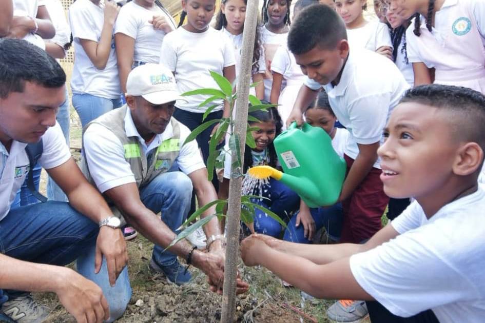 Avanza mejoramiento de entornos escolares de Cartagena con siembra de árboles