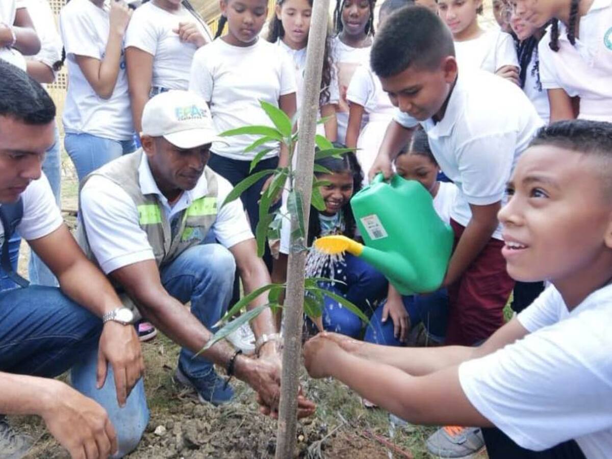 Avanza mejoramiento de entornos escolares de Cartagena con siembra de árboles