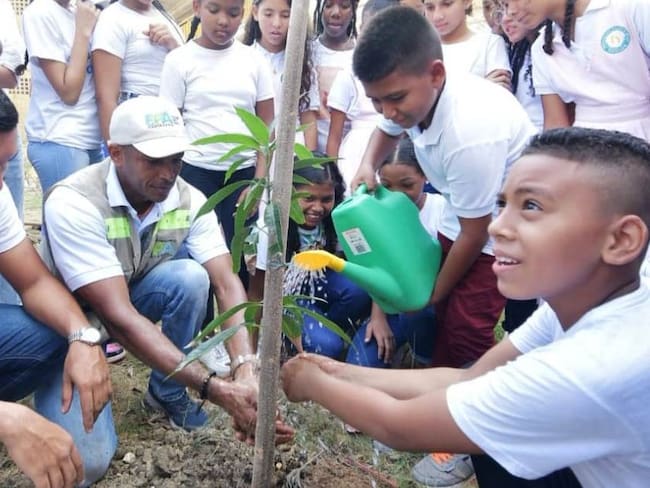 Avanza mejoramiento de entornos escolares de Cartagena con siembra de árboles