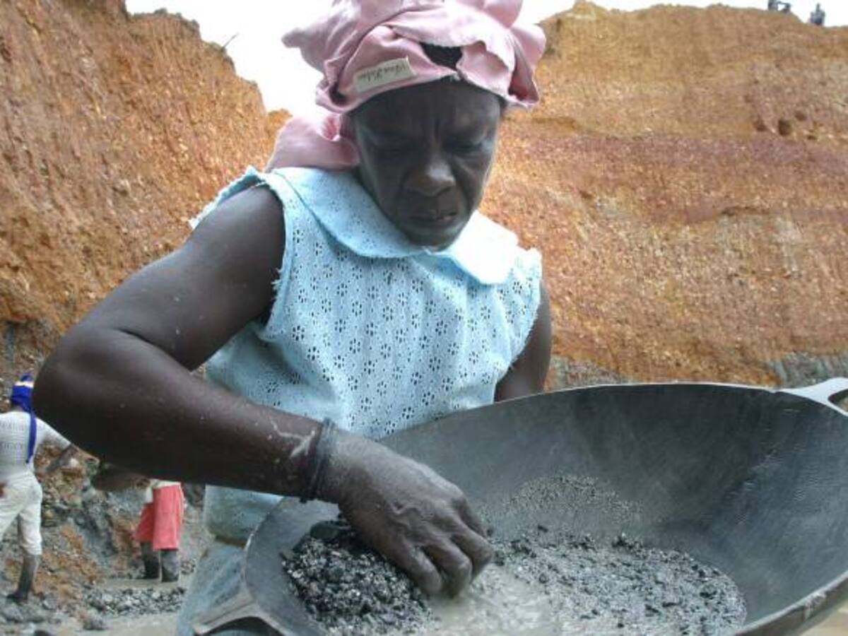 ONU advierte que extracción ilegal de oro está destruyendo las selvas del Choco