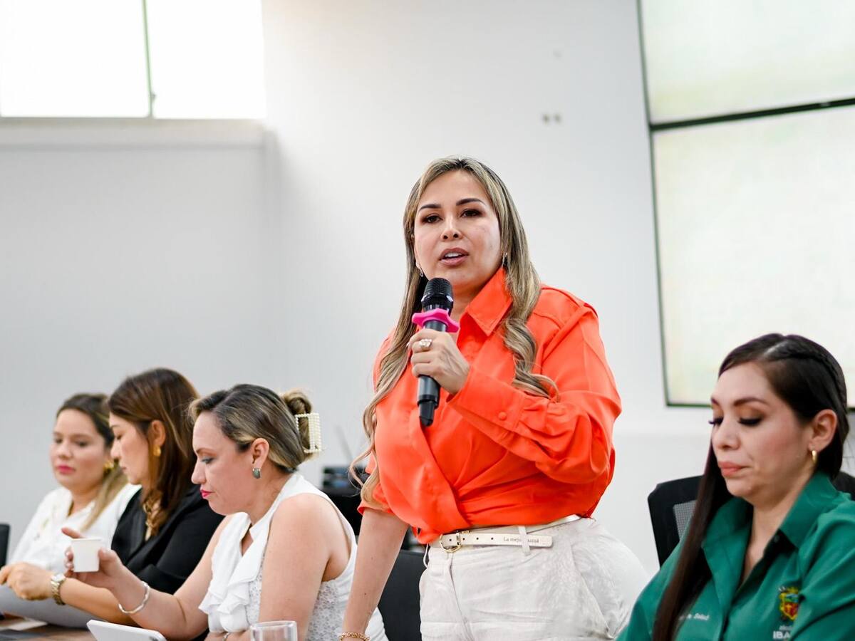 Le pedimos al Gobierno Nacional que nos entreguen los recursos para el PAE: alcaldesa de Ibagué