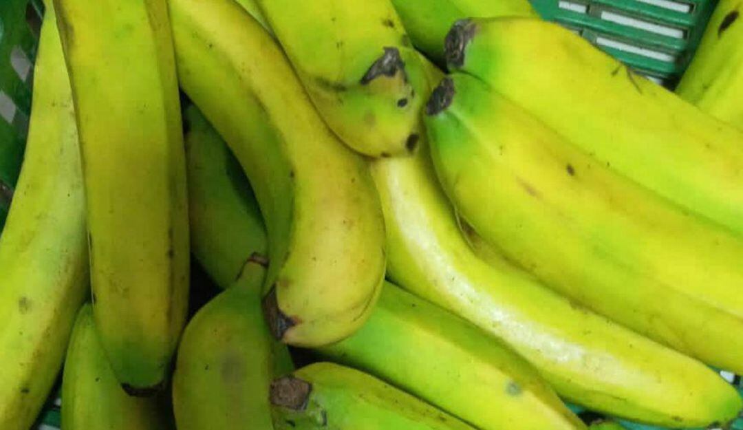 Tras continuos incumplimientos de los operadores