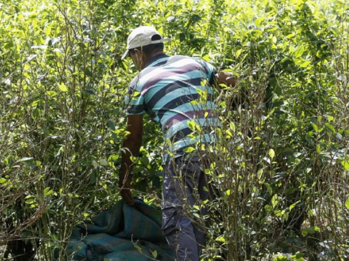 Se mantienen asentamientos humanitarios por erradicaciones forzadas