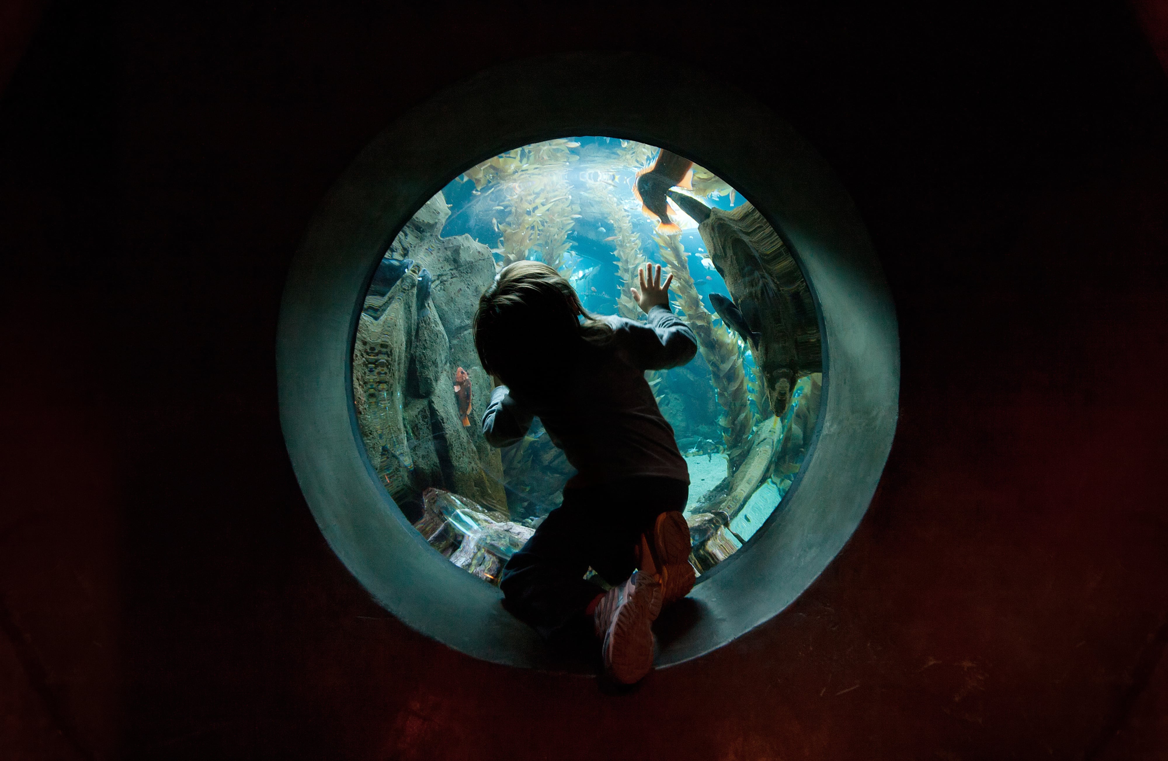 Sumergible - Getty Images