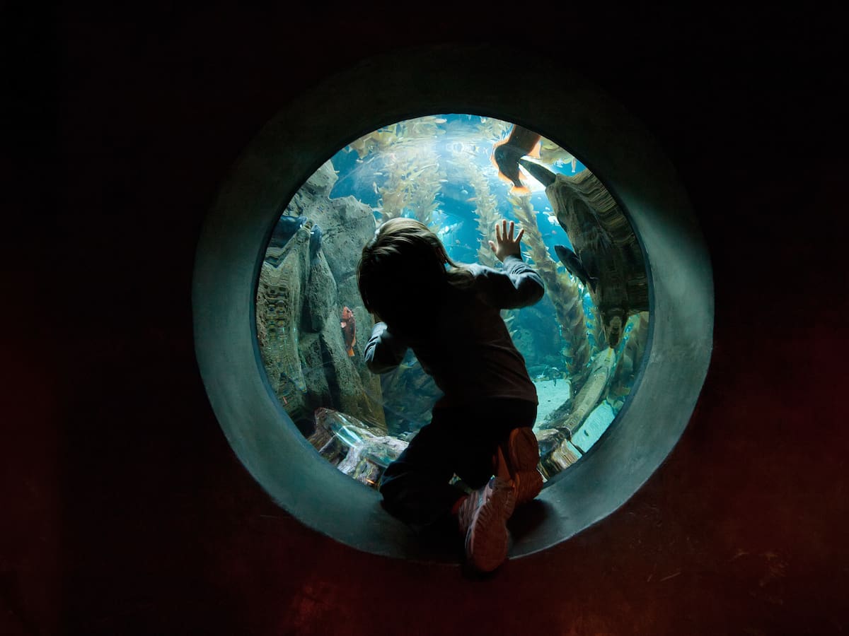 ¿Qué es una implosión y qué le pasa al cuerpo cuando se expone a esta? Científica explica