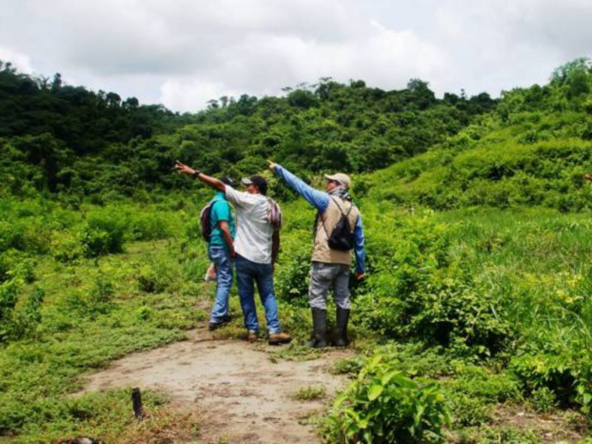 574 sentencias de tierras a favor de las víctimas en Bolívar