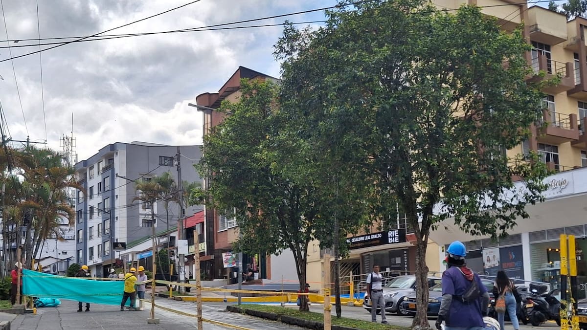 comerciante del sector