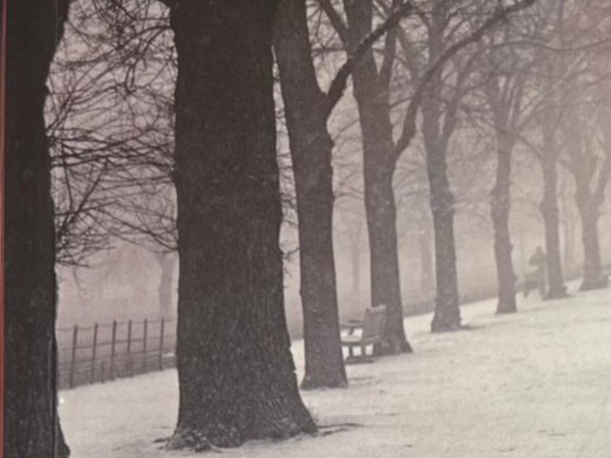 Viernes de libros: 'El maestro de Petesburgo' de J. M Coetzee