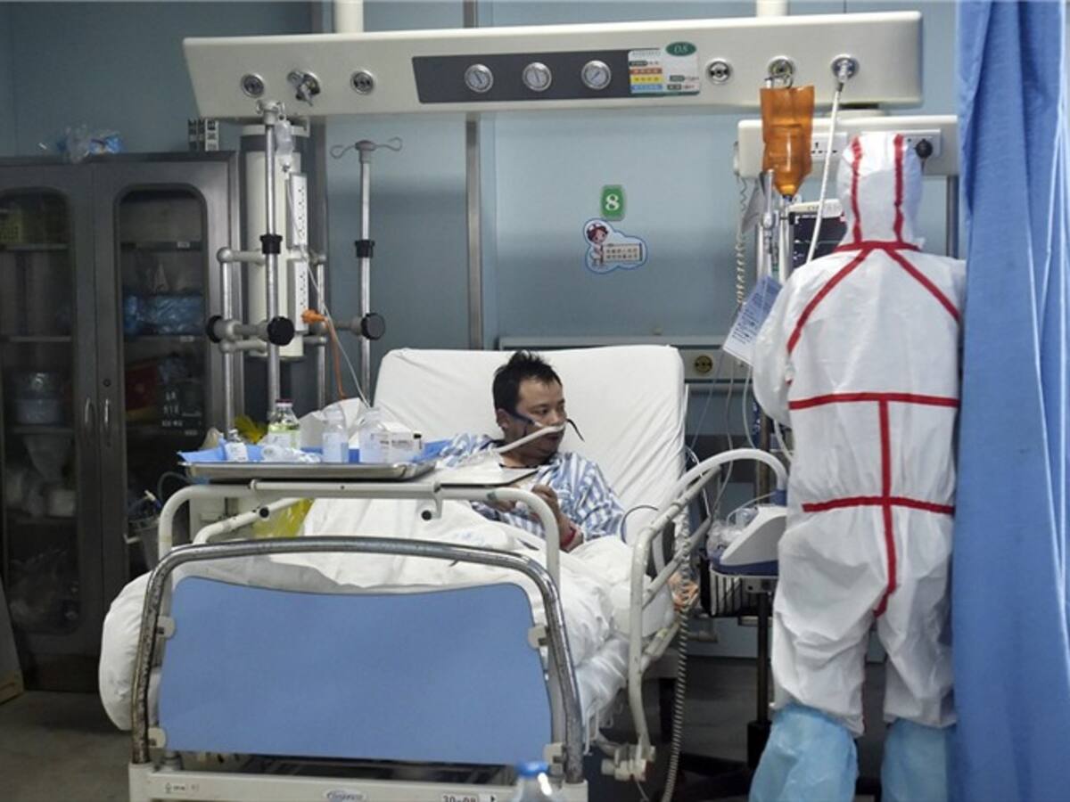 Gripe aviar: U. Europea reservó vacunas por si se declara una pandemia