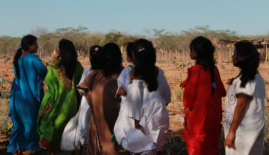 Archivo de referencia