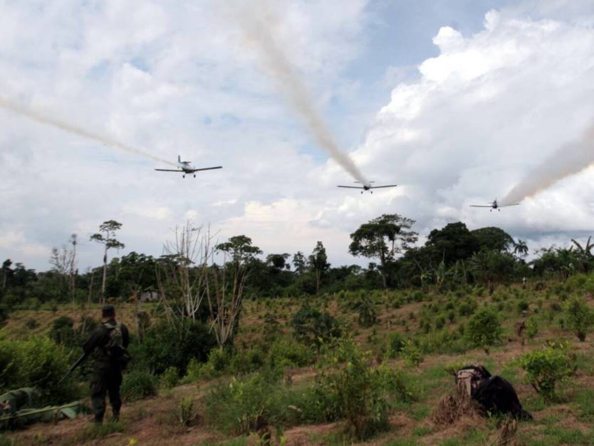 Policía Nacional suspendió la erradicación forzada de cultivos de coca en el país