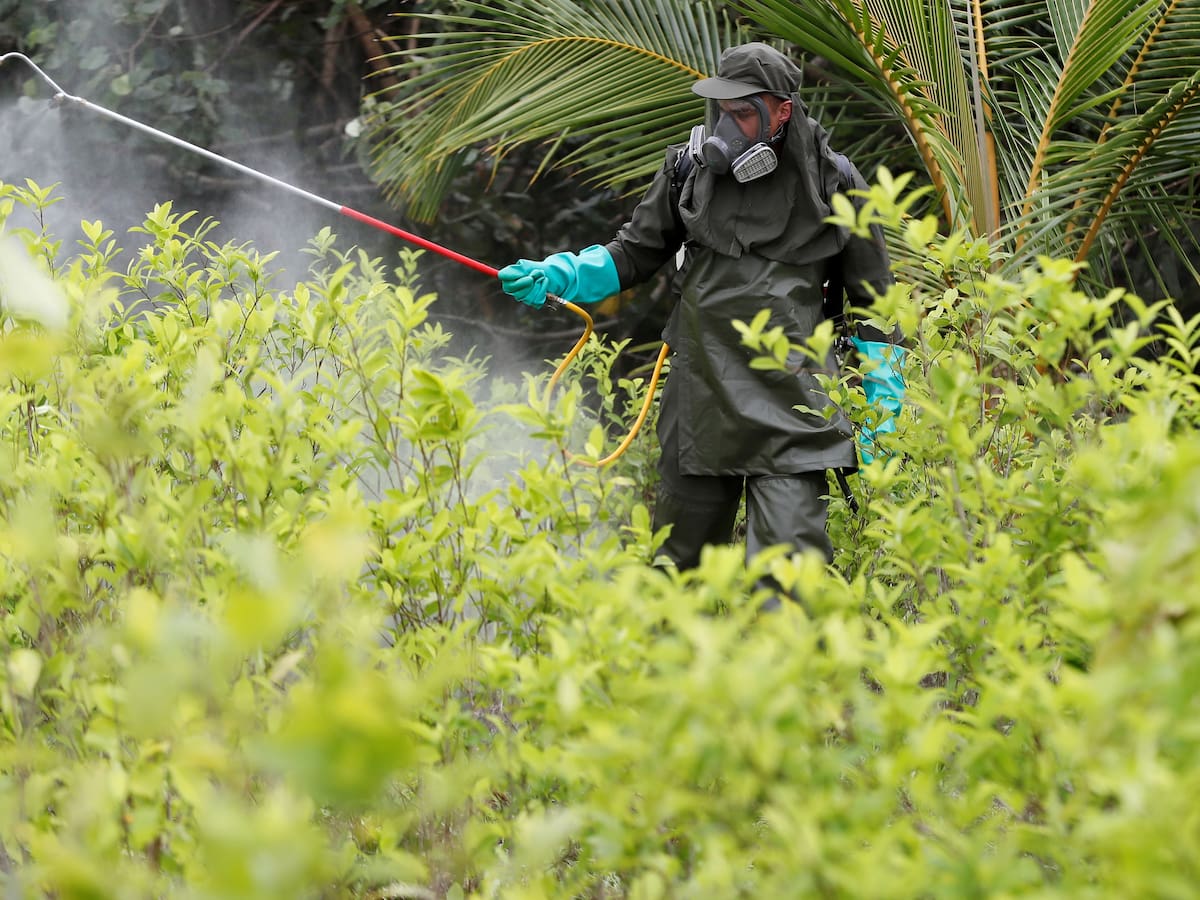 Comunidades empiezan a ser notificadas de aspersión en el Catatumbo