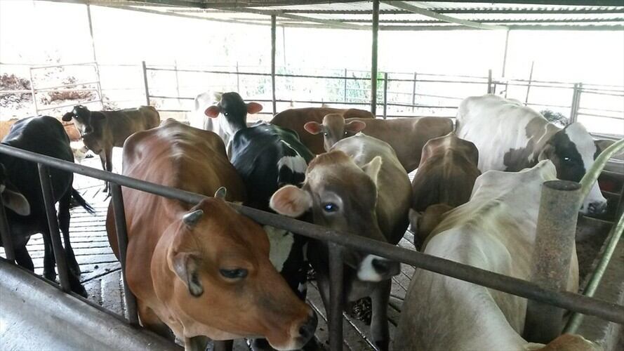 Imagen de referencia. Foto: Colprensa