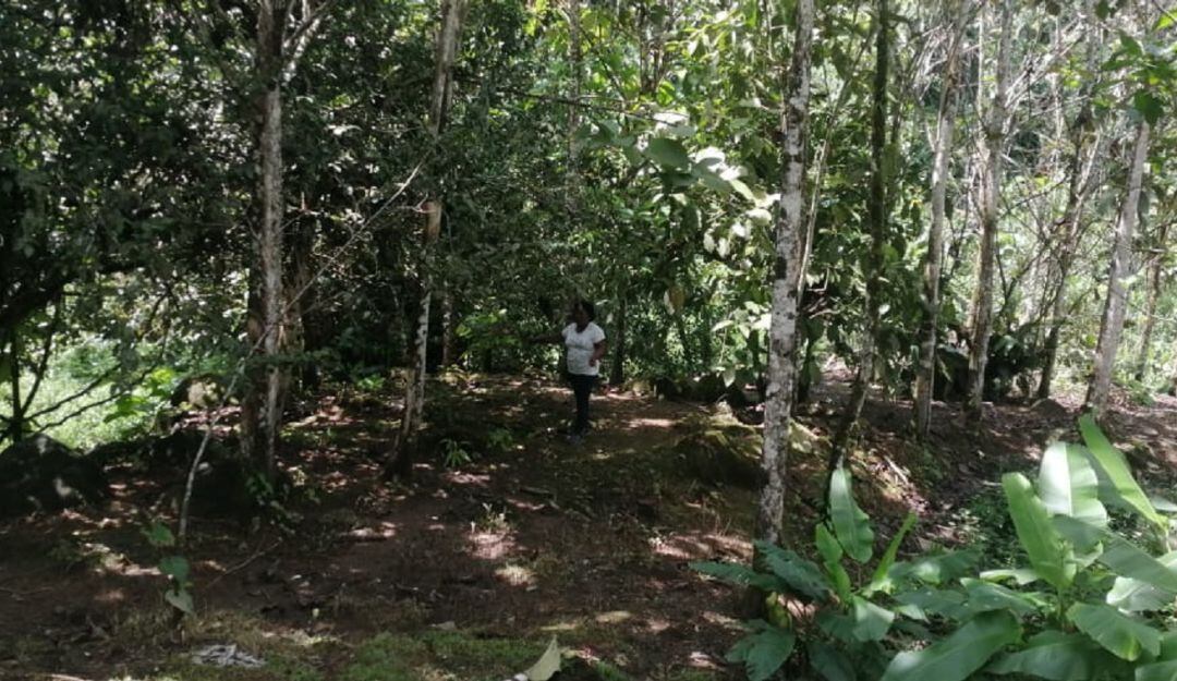 María Rocio Bonilla Torres, cultivadora de plantas aromáticas.