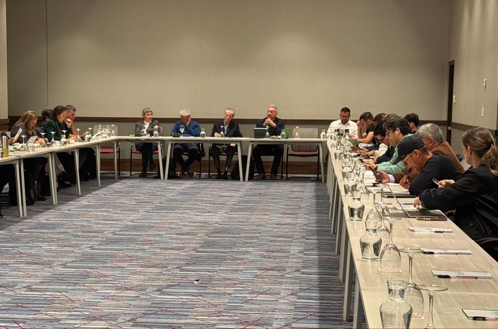 El Partido Alianza Verde en la convención para elegir candidato presidencial