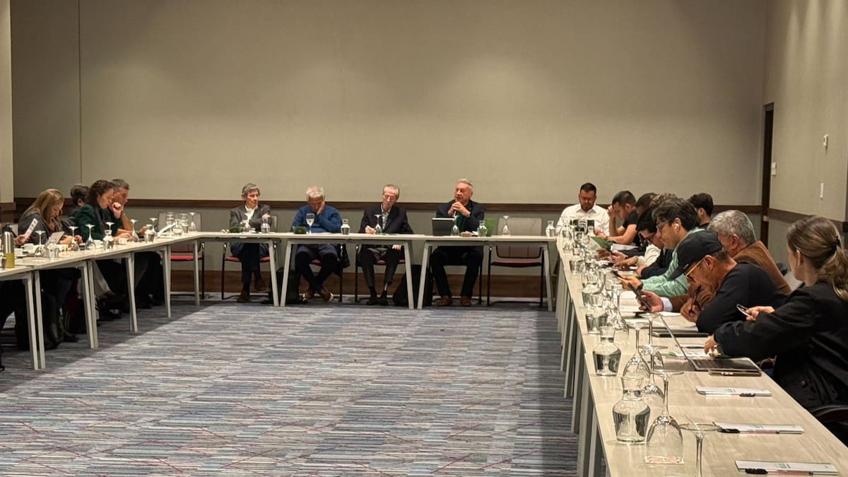 Alianza Verde se fractura por propuesta de respaldar candidatura presidencial de Iván Cepeda