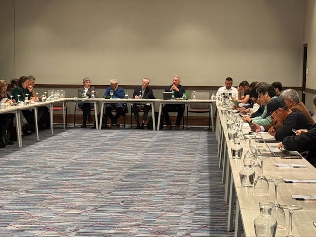 El Partido Alianza Verde en la convención para elegir candidato presidencial