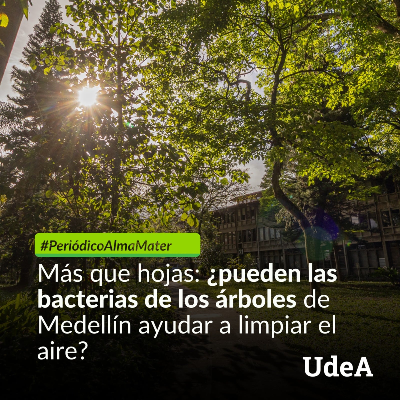 Foto: Cortesía UdeA