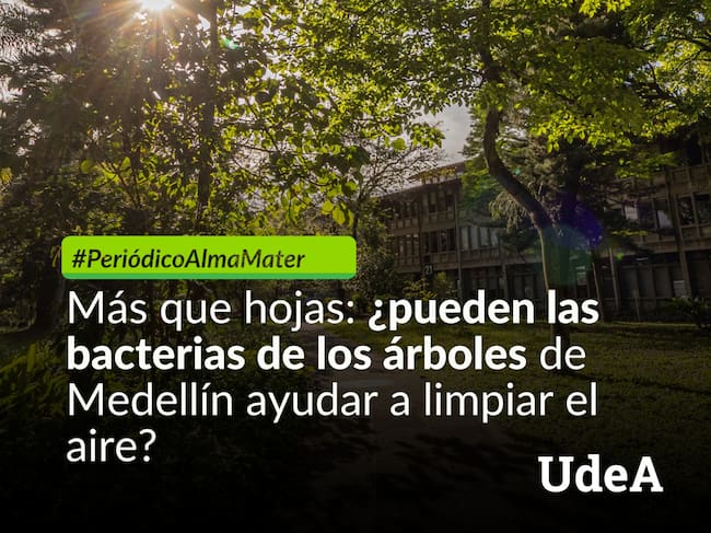 Foto: Cortesía UdeA