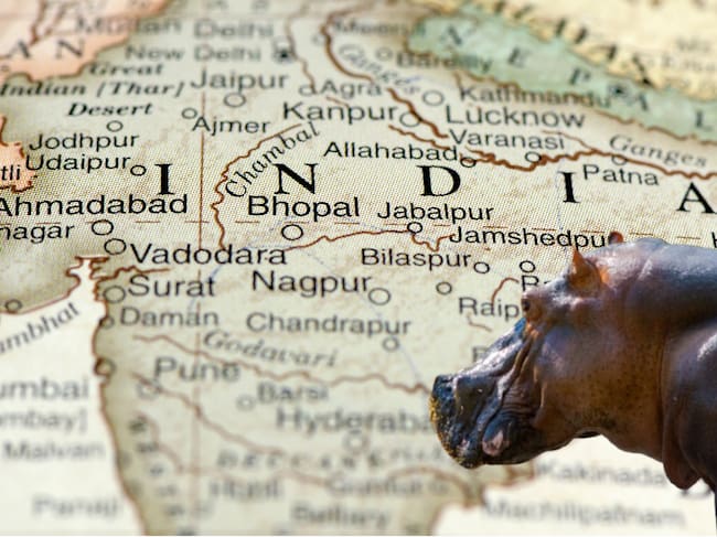 Imagen de referencia. Mapa India - Hipopótamos: Getty Images.