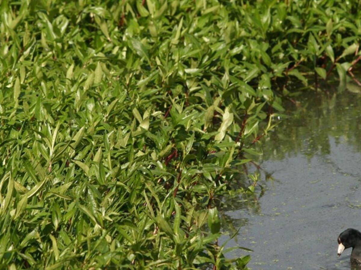 Fuente hídrica, la Chucua de Fagua, estaría siendo intervenida para construcción