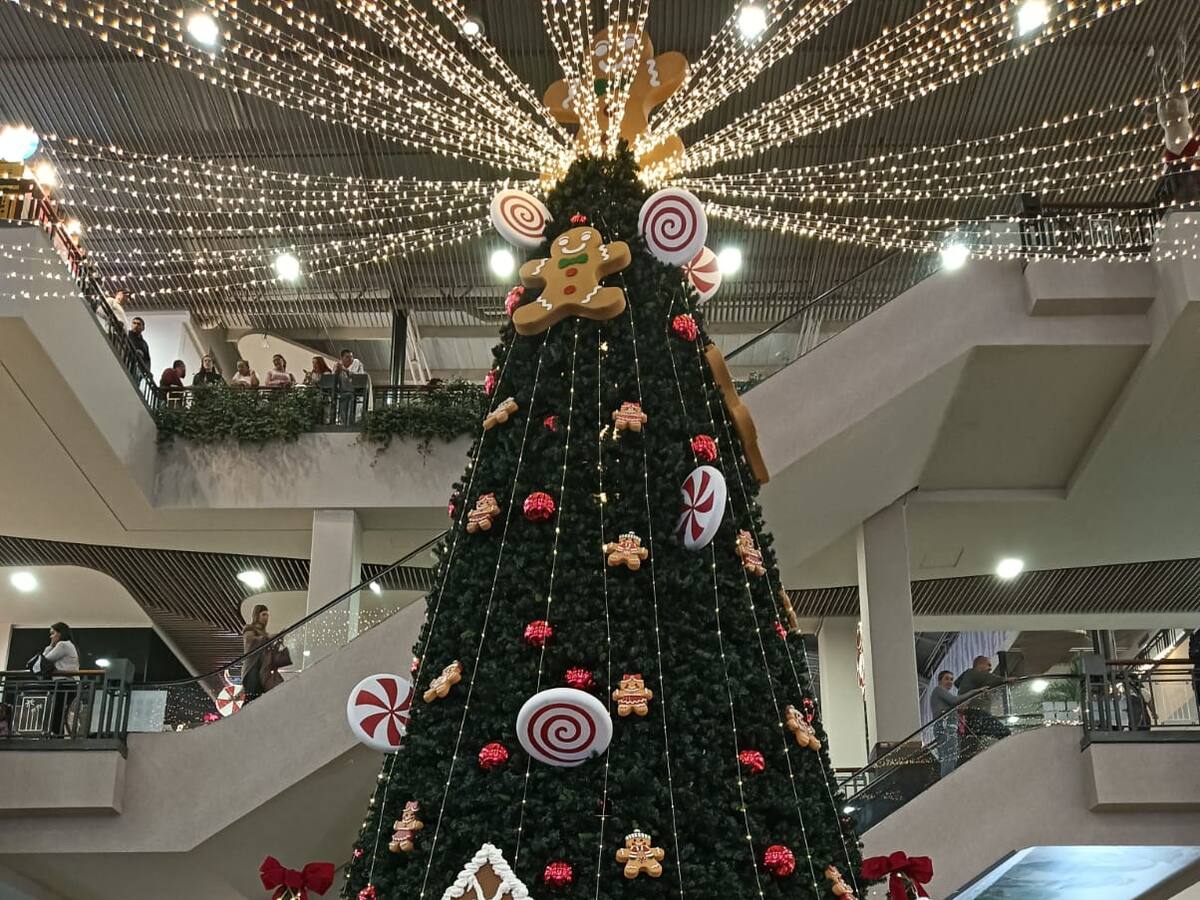 Jueves 27 de noviembre, las noticias más importantes de Armenia y Quindío