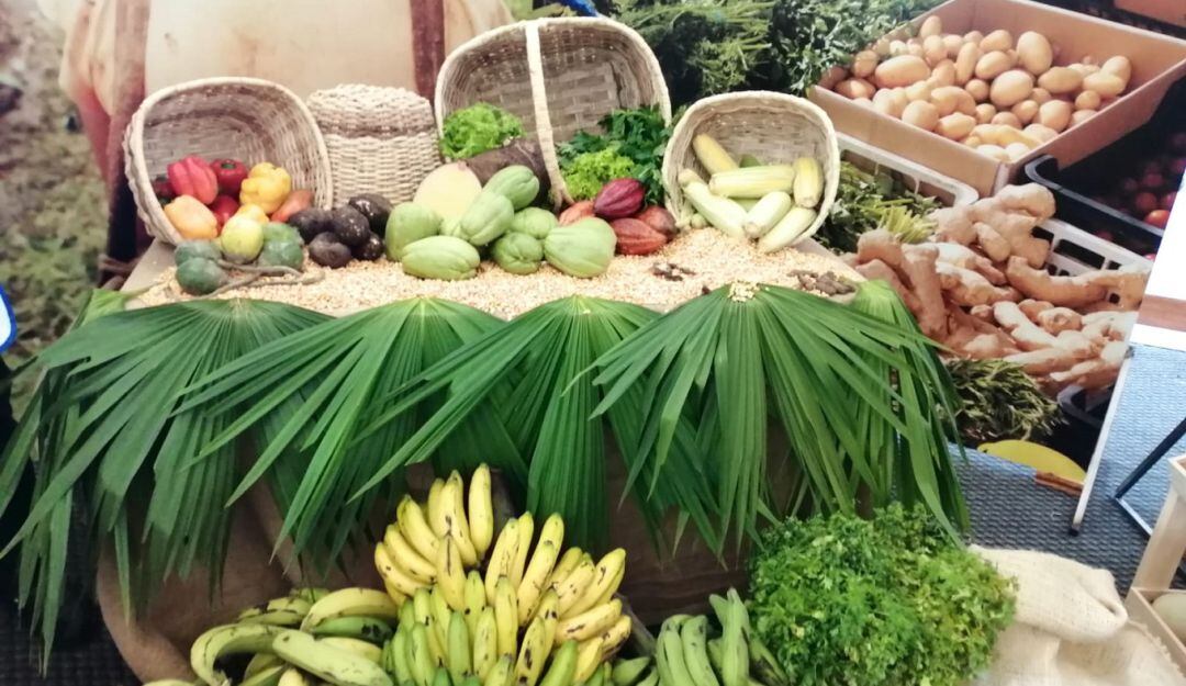 Programa Manos que Alimentan 2021