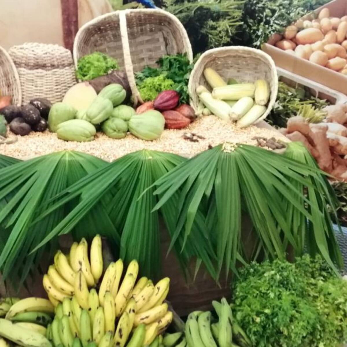 Agricultura de autoconsumo para los hogares colombianos