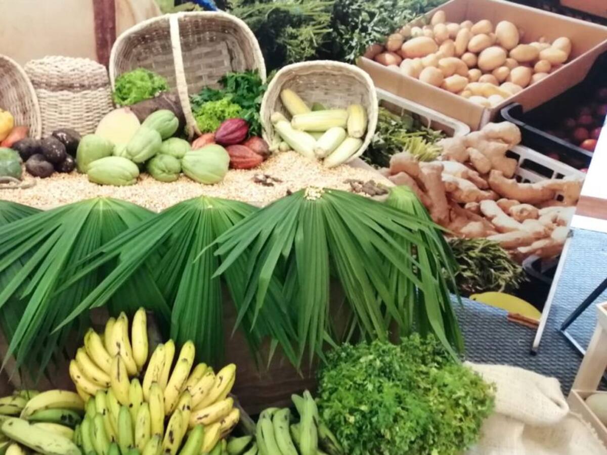 Agricultura de autoconsumo para los hogares colombianos