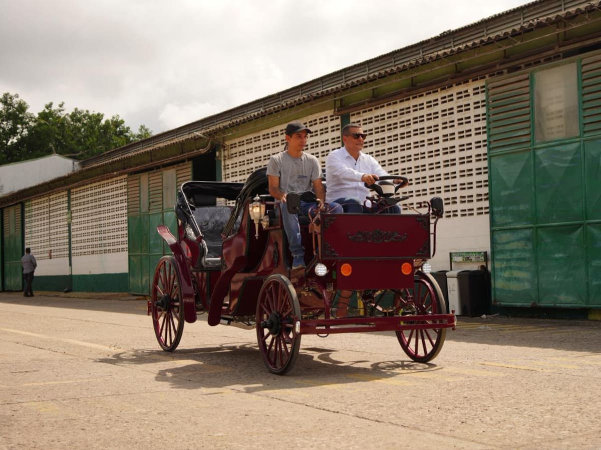 Corte Constitucional prohíbe tracción animal para actividades turísticas