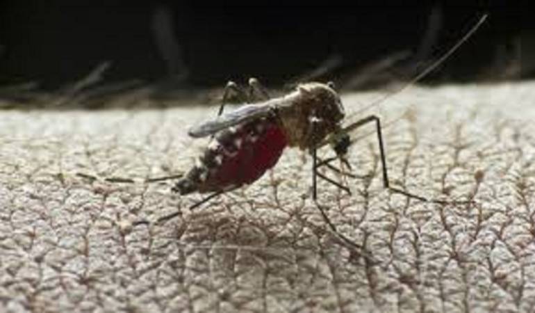 Autoridades de salud piden a los ciudadanos tomar medidas de precaución por el dengue