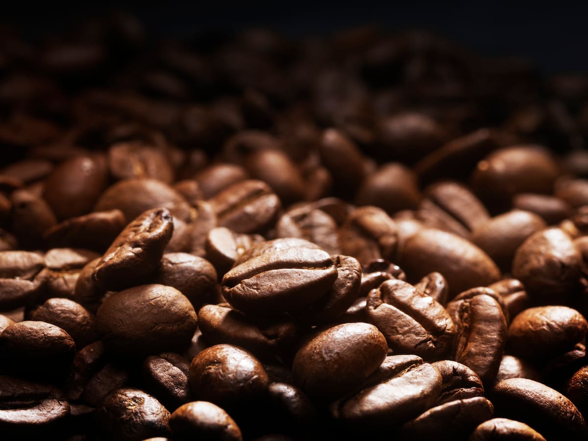“Café y aguacate podrían subir de precio si hay renegociación del TLC con EE.UU.”: AmCham