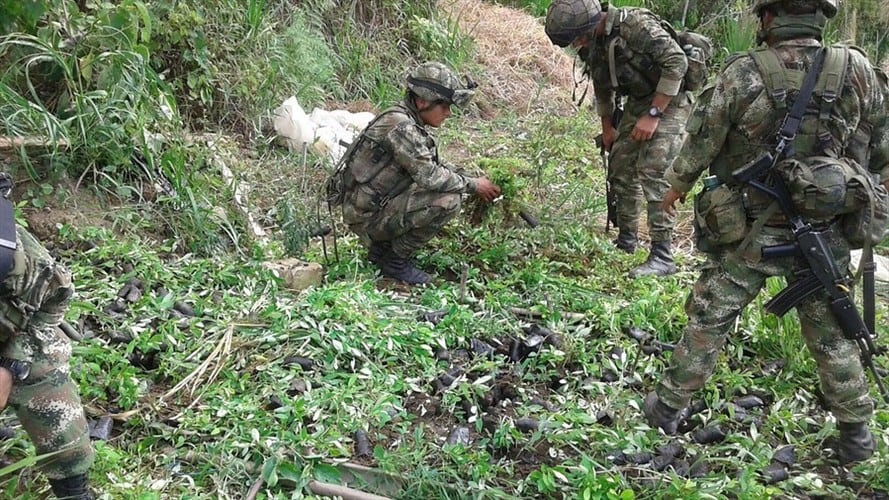 Imagen de referencia. Foto: Colprensa