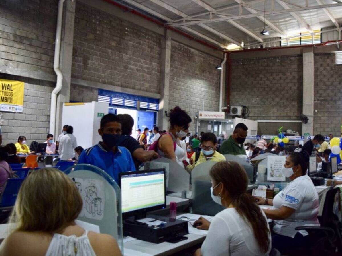 Veedores denuncian parálisis en la Secretaría de Tránsito de Ibagué