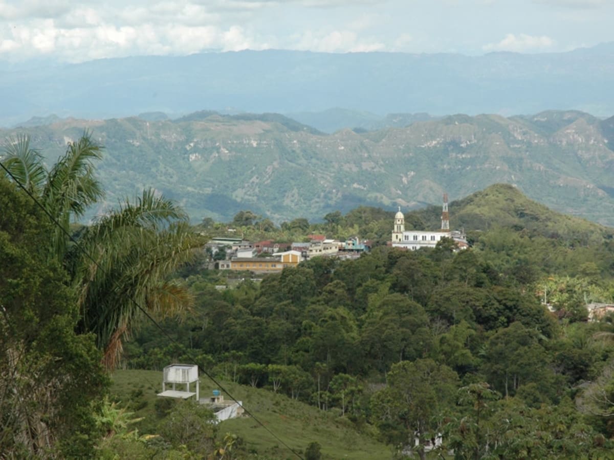Alcaldes de 8 municipios del Tolima se oponen a la implementación de las APPA