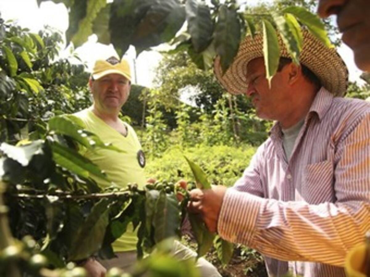 Buscan que caficultores de Caldas tengan protección para su vejez