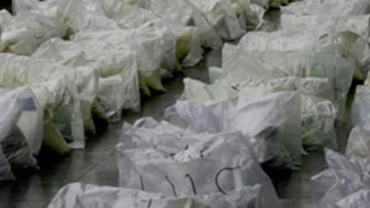 En Caldas incautaron 9 kilos de base de coca