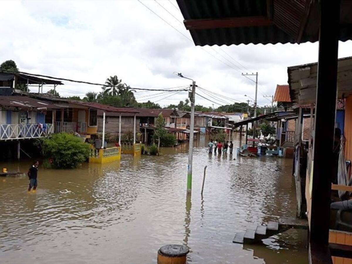 Hay 1.550 familias afectadas por las lluvias en Vichada: delegado de la Ungrd