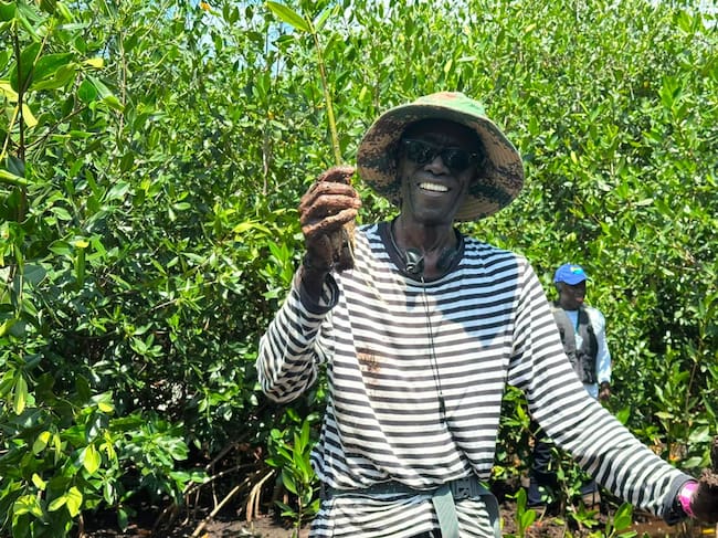 Este es el proyecto ambiental de Córdoba que atrajo a cinco países africanos. Foto: prensa Vida Manglar.