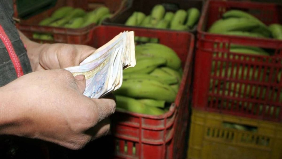 ¿Cuáles serán los productos más afectados por la subida del dólar para fin de año?