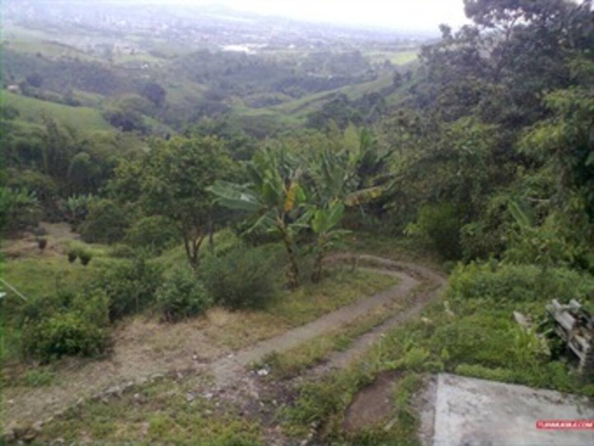 En Risaralda no se presentan alteraciones del orden público por paro agrario