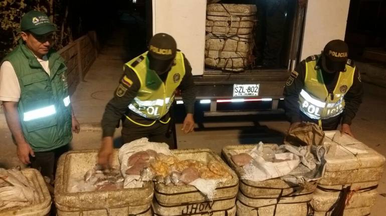 Autoridades decomisaron cargamento de pescado, que ingresó de manera ilegal a Barranquilla.