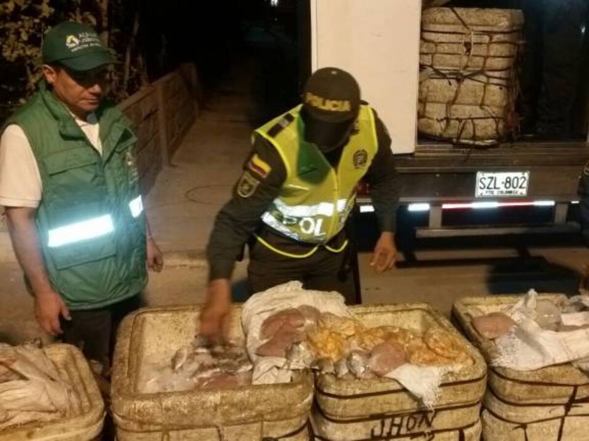 Incautan 500 kilos de pescado y mariscos en Barranquilla