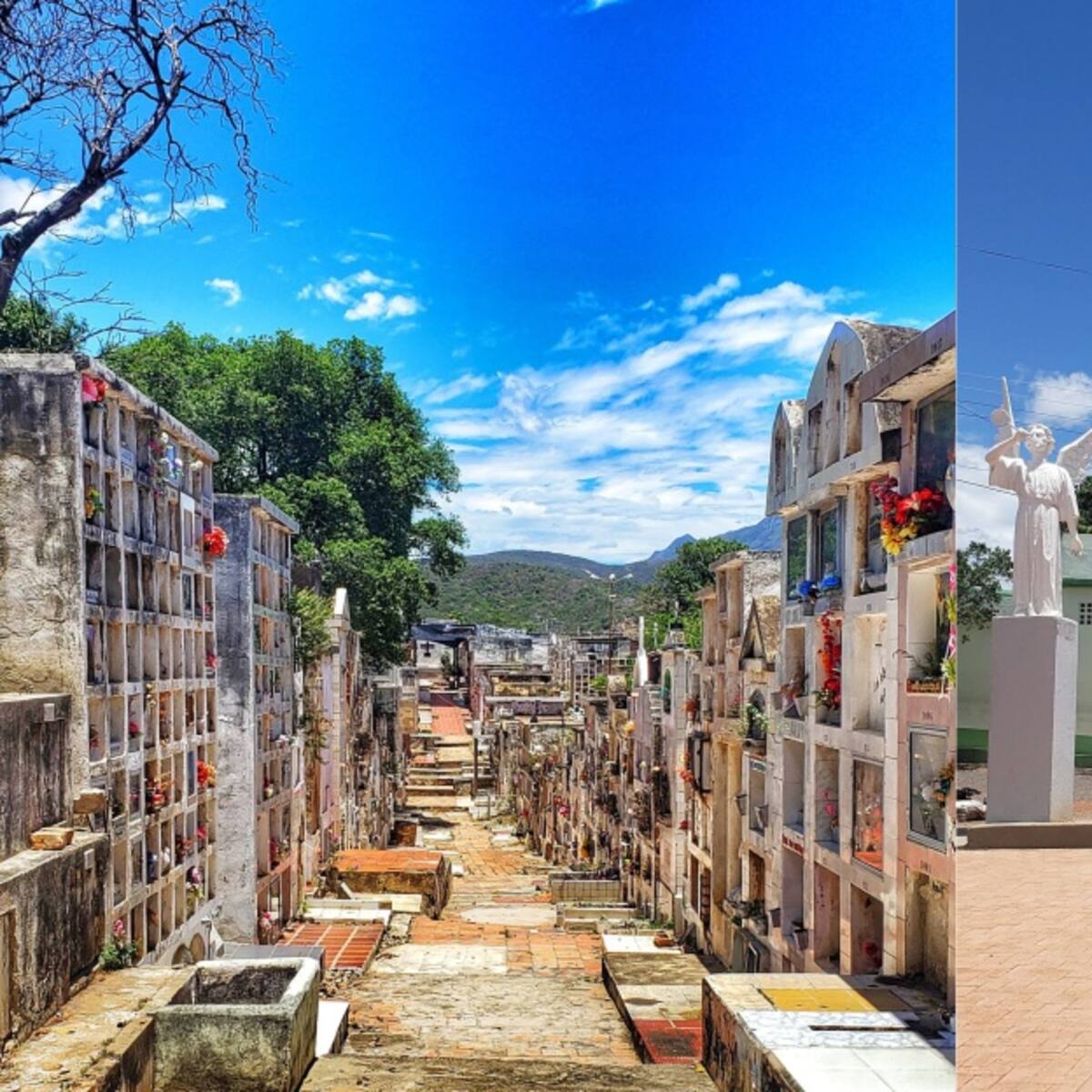 Personería de Cúcuta inicia investigación por cobros en cementerio central