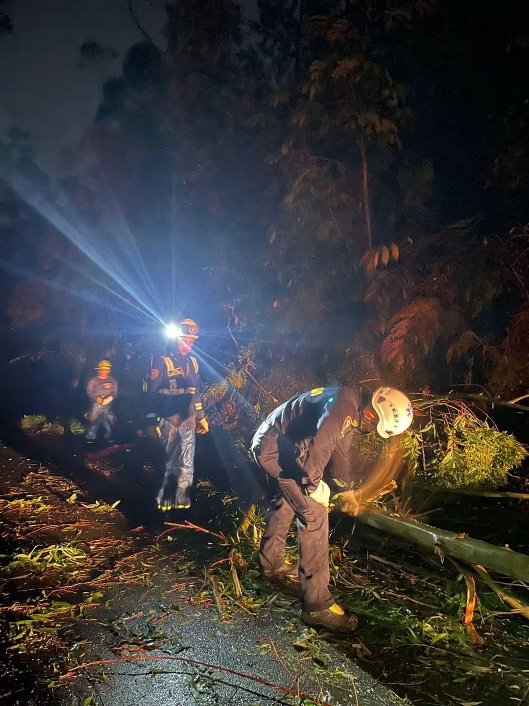 Unidades bomberiles removiendo árboles caídos entre Pensilvania y Manzanares, al oriente de Caldas. Foto: Cuerpo Voluntario de Bomberos de Pensilvania.