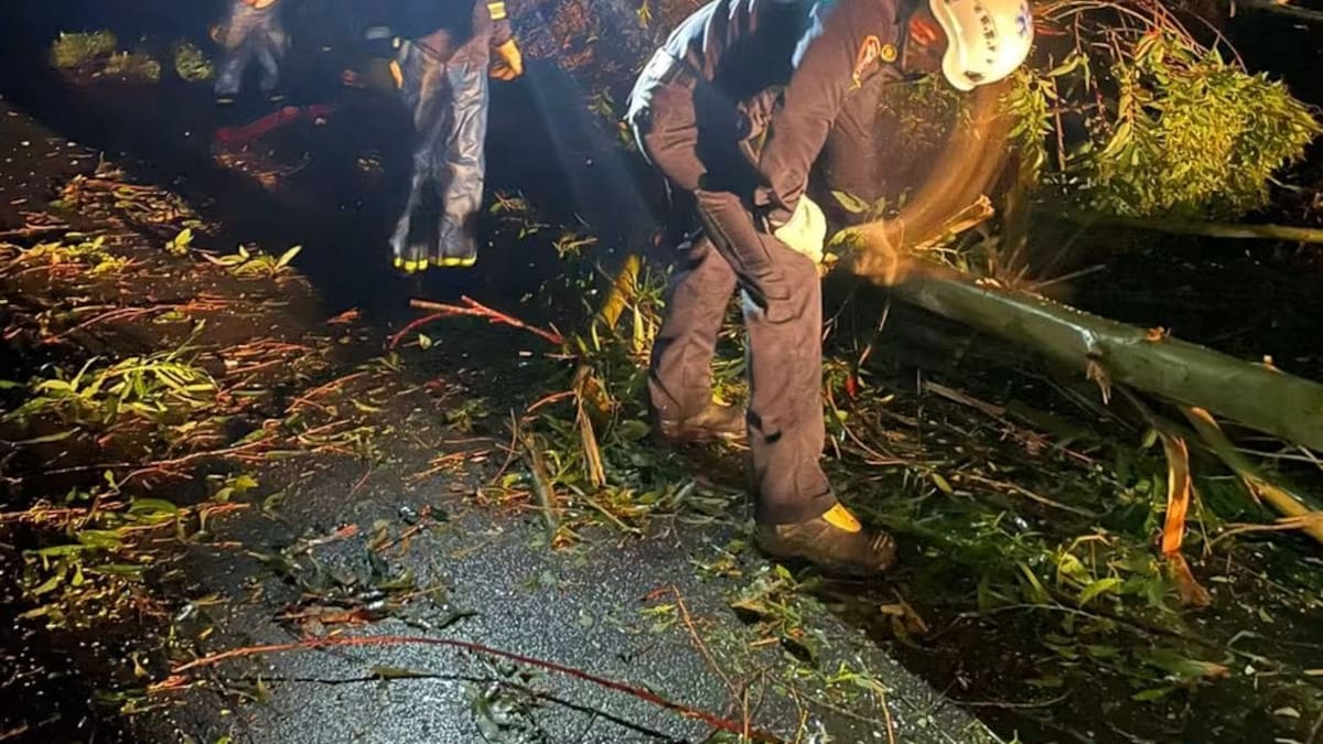 Más de 200 personas son afectadas por un fuerte vendaval en Pensilvania, Caldas