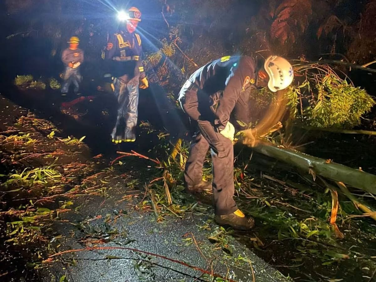 Más de 200 personas son afectadas por un fuerte vendaval en Pensilvania, Caldas